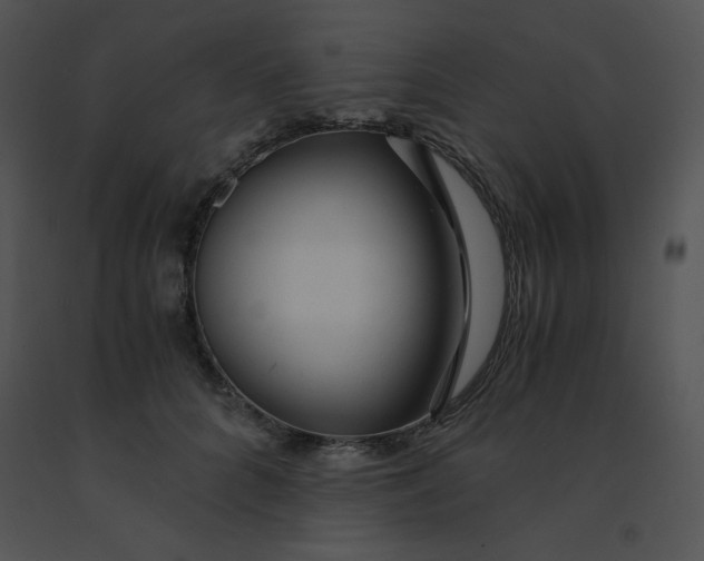 X0000091360704200708311505