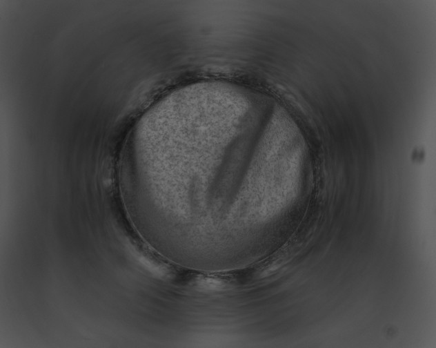 X0000091360706200708311505