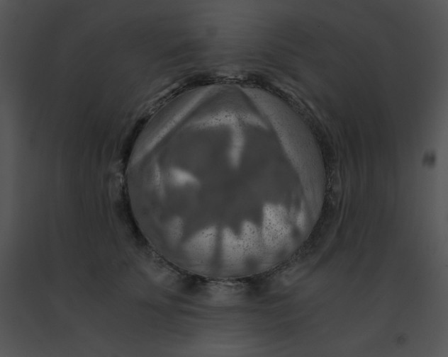 X0000091360707200708311505