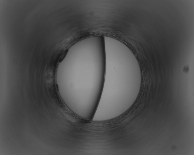 X0000091360708200708311505