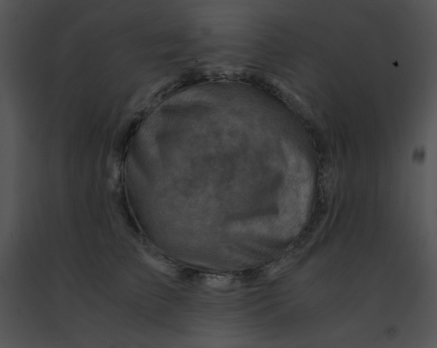 X0000091360709200708311505