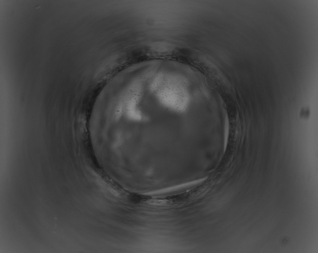 X0000091360711200708311505