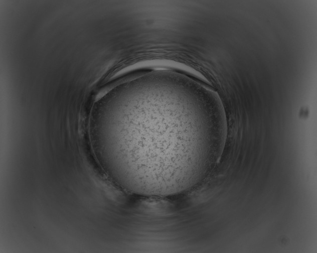 X0000091360712200708311505