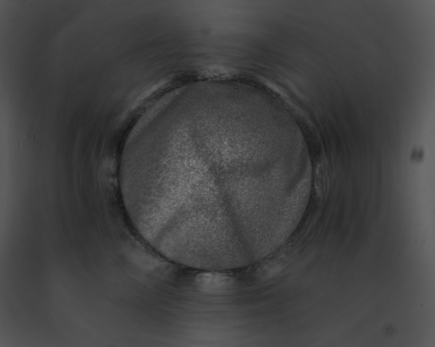 X0000091360714200708311505