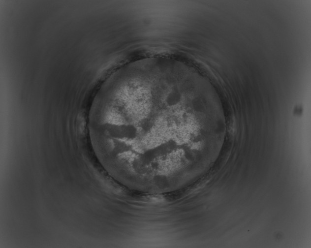 X0000091360715200708311505