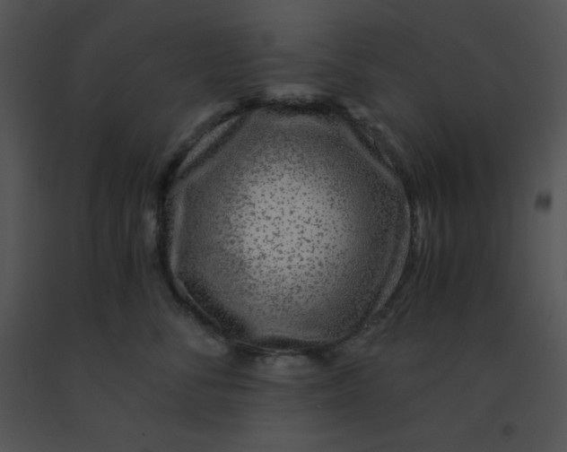 X0000091360716200708311505