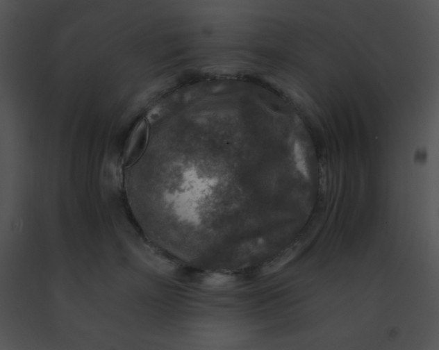 X0000091360718200708311505