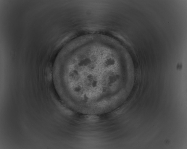 X0000091360719200708311505