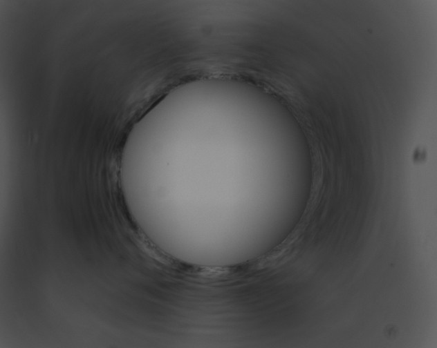 X0000091360720200708311505