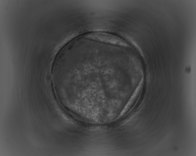 X0000091360721200708311504