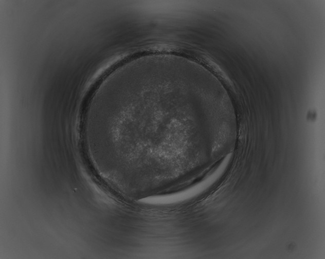 X0000091360722200708311504
