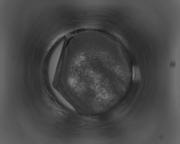 X0000091360723200708311504