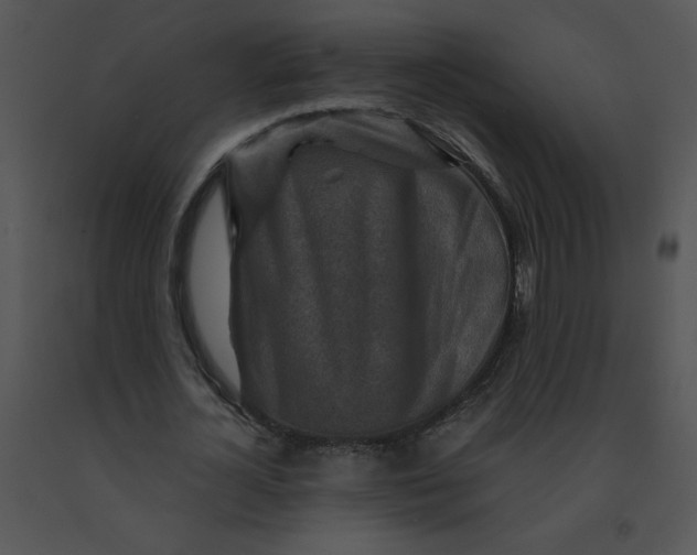 X0000091360724200708311504
