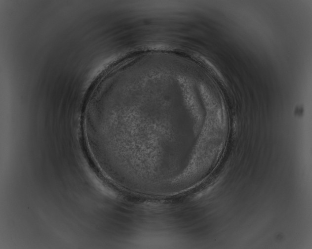 X0000091360725200708311504