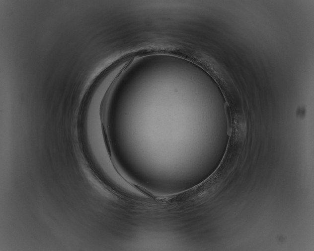 X0000091360726200708311504