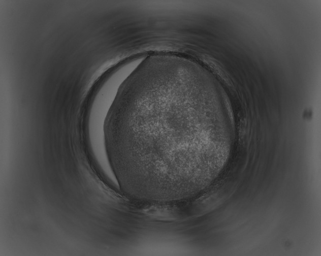 X0000091360727200708311504