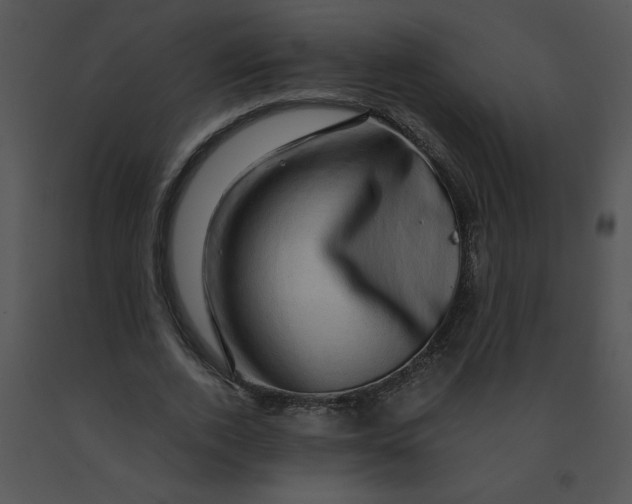 X0000091360728200708311504