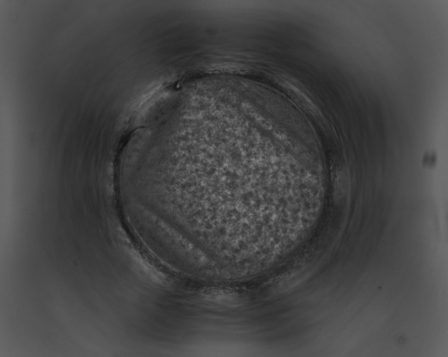 X0000091360729200708311504