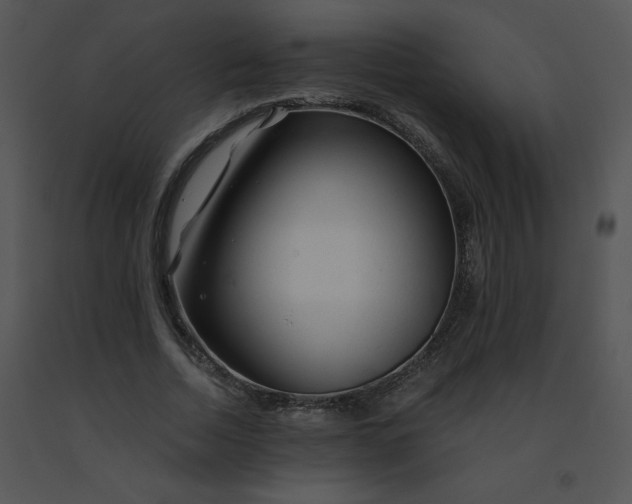 X0000091360730200708311504