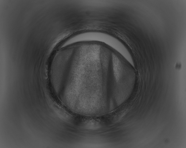 X0000091360731200708311504