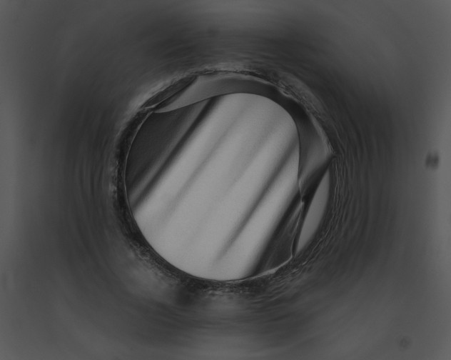 X0000091360732200708311504