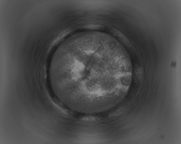 X0000091360734200708311504