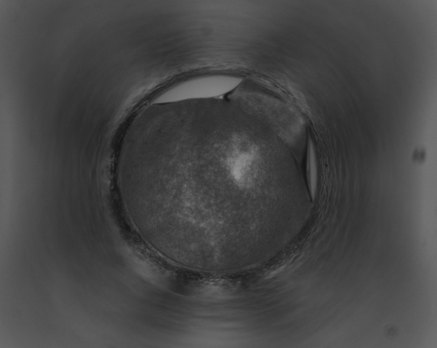 X0000091360736200708311504