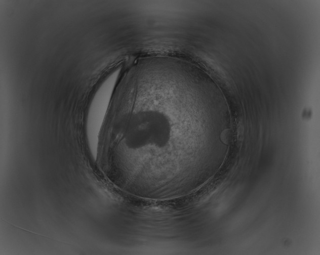X0000091360737200708311504