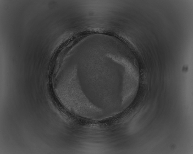 X0000091360738200708311504