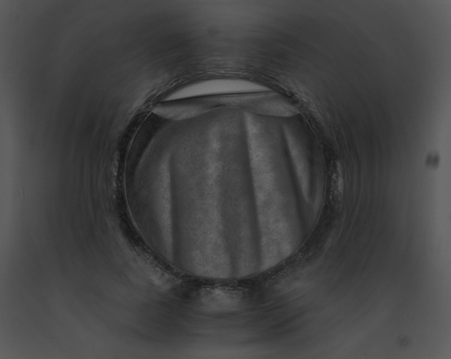 X0000091360739200708311504