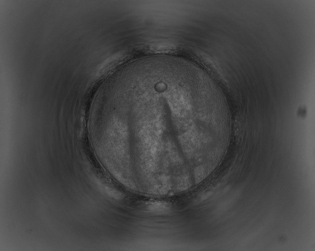 X0000091360741200708311504