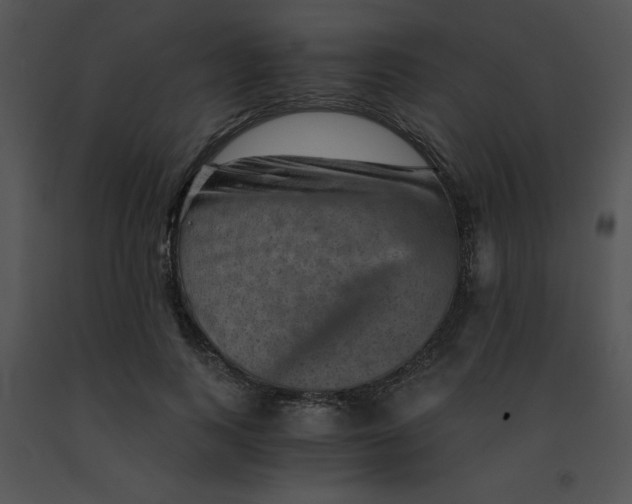 X0000091360743200708311504
