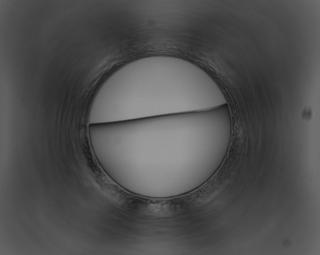 X0000091360744200708311504