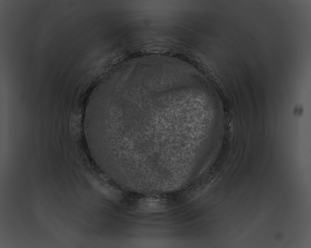 X0000091360745200708311504