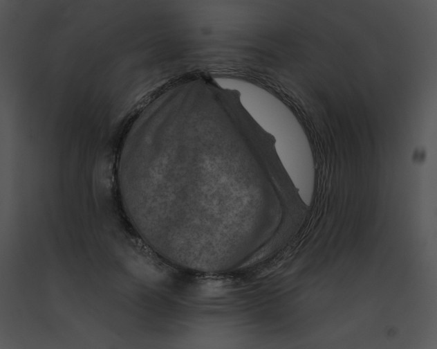 X0000091360746200708311504