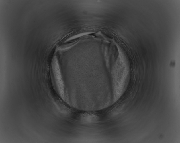 X0000091360747200708311504