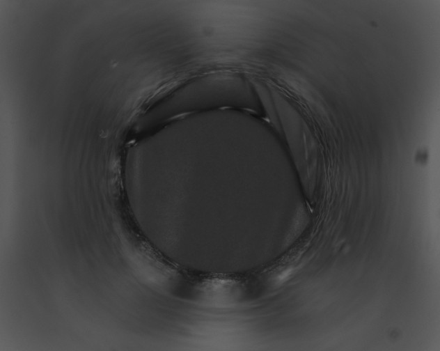 X0000091360748200708311504