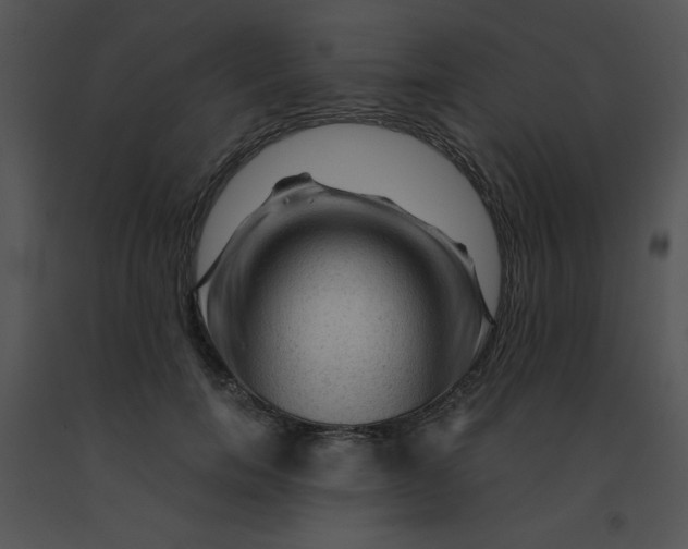 X0000091360750200708311504