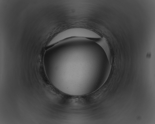 X0000091360752200708311504