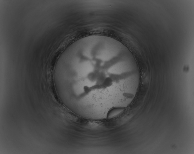 X0000091360753200708311504