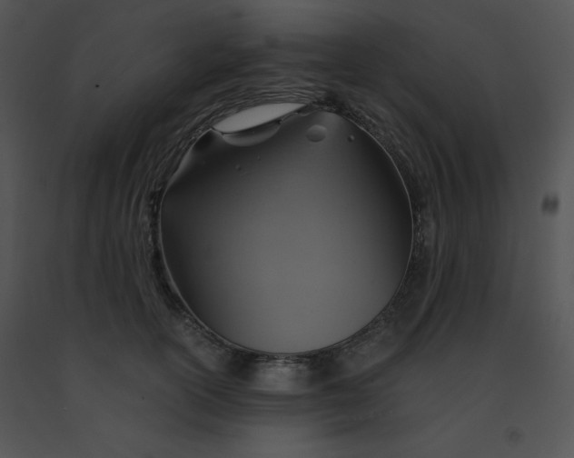 X0000091360754200708311504