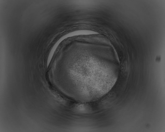 X0000091360755200708311504