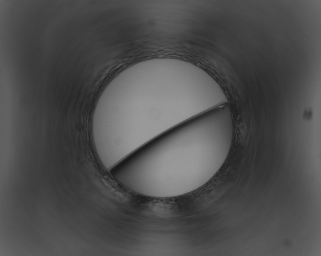 X0000091360756200708311504