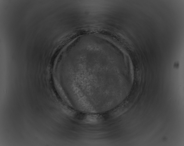 X0000091360757200708311504