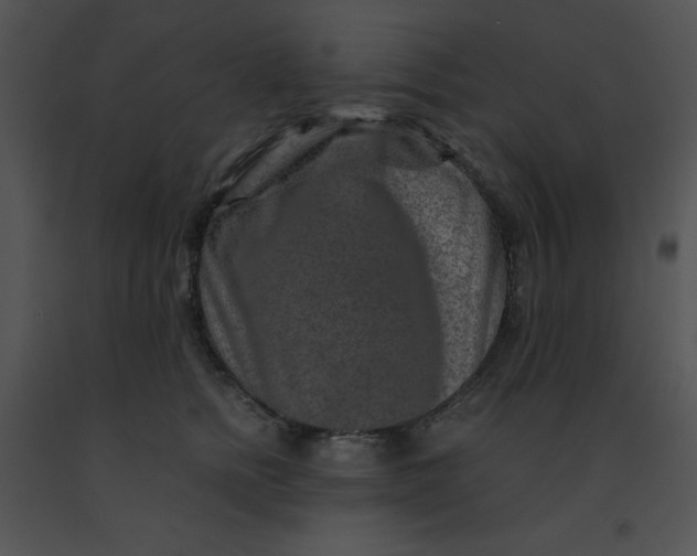X0000091360758200708311504