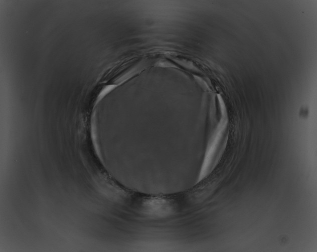 X0000091360759200708311504