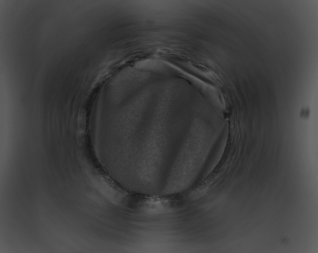 X0000091360760200708311504