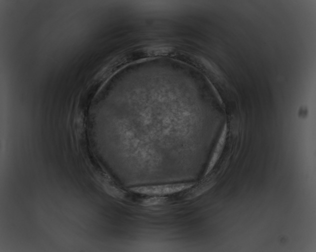 X0000091360761200708311504