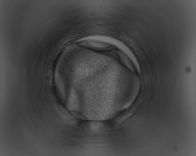 X0000091360762200708311504