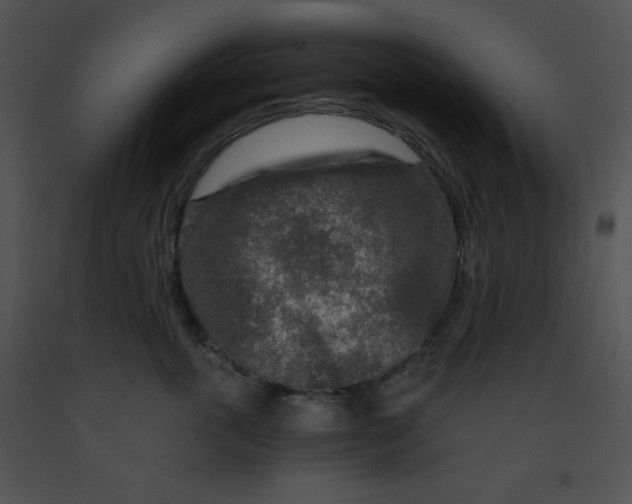 X0000091360763200708311504